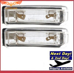 Подсветка номера 2 шт. Ford Focus I 1998-2005